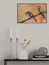 Bee-Eater Poster och Canvastavla
