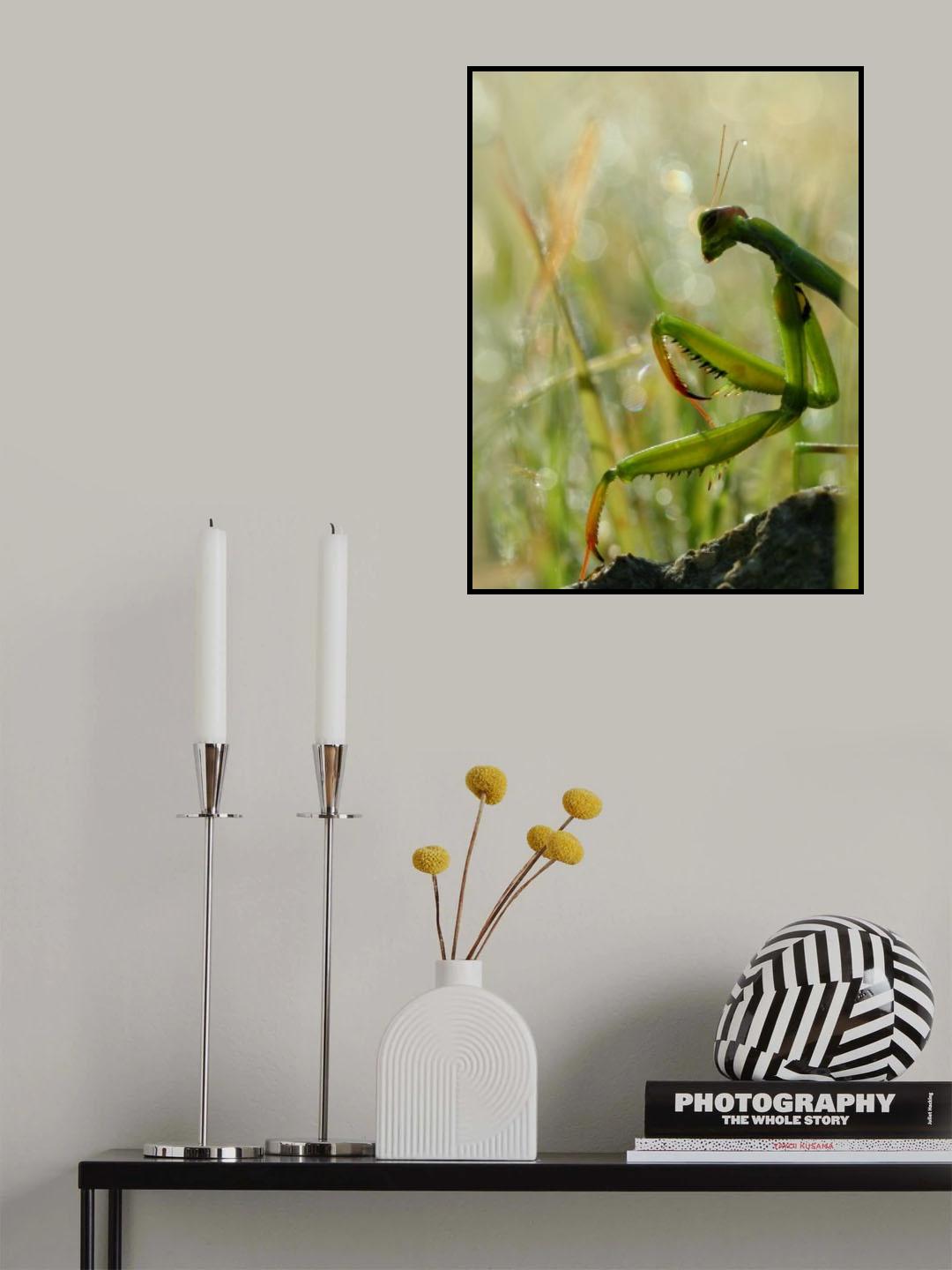 Mantis in the morning Poster och Canvastavla