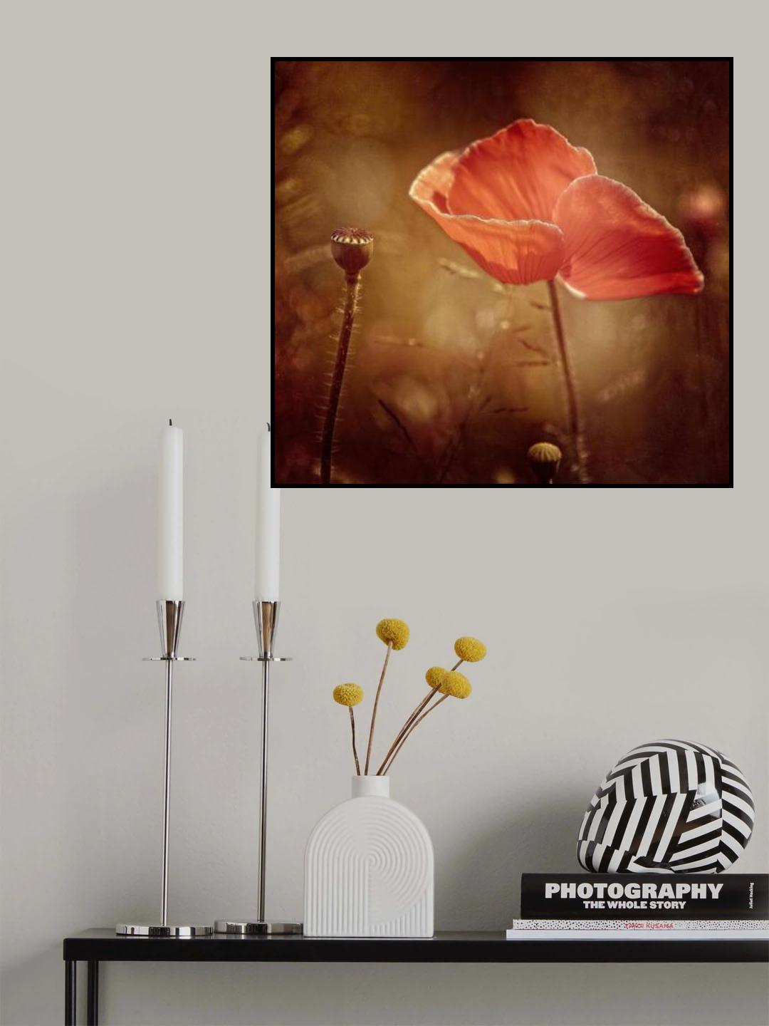 summertime Poster och Canvastavla