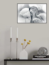 FEEDING .... Poster och Canvastavla