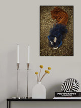 The dream Poster och Canvastavla