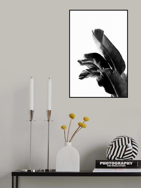 Bird of Paradise Plant Black and White 01 Poster och Canvastavla