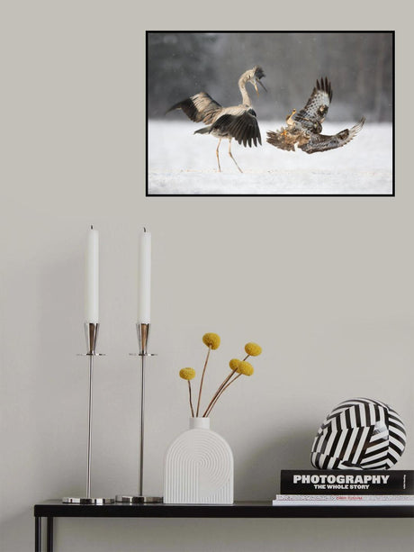 EY! Poster och Canvastavla