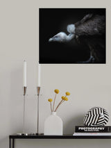 targeted Poster och Canvastavla