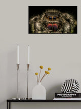 All eyes set on you Poster och Canvastavla