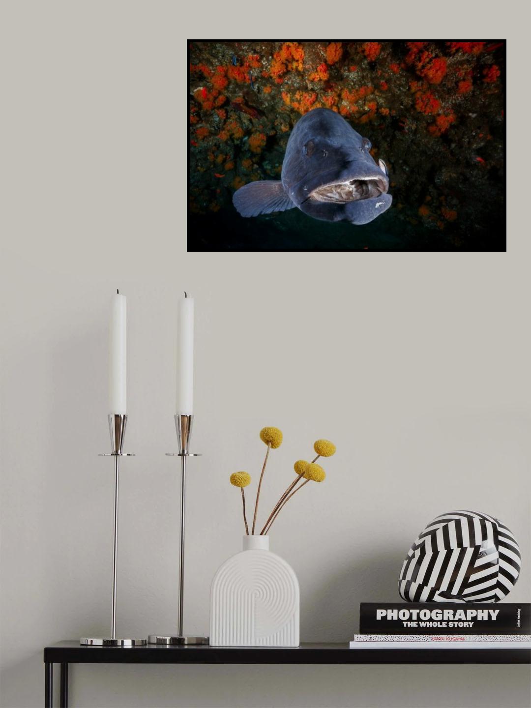 Say Ohhhh.... Poster och Canvastavla