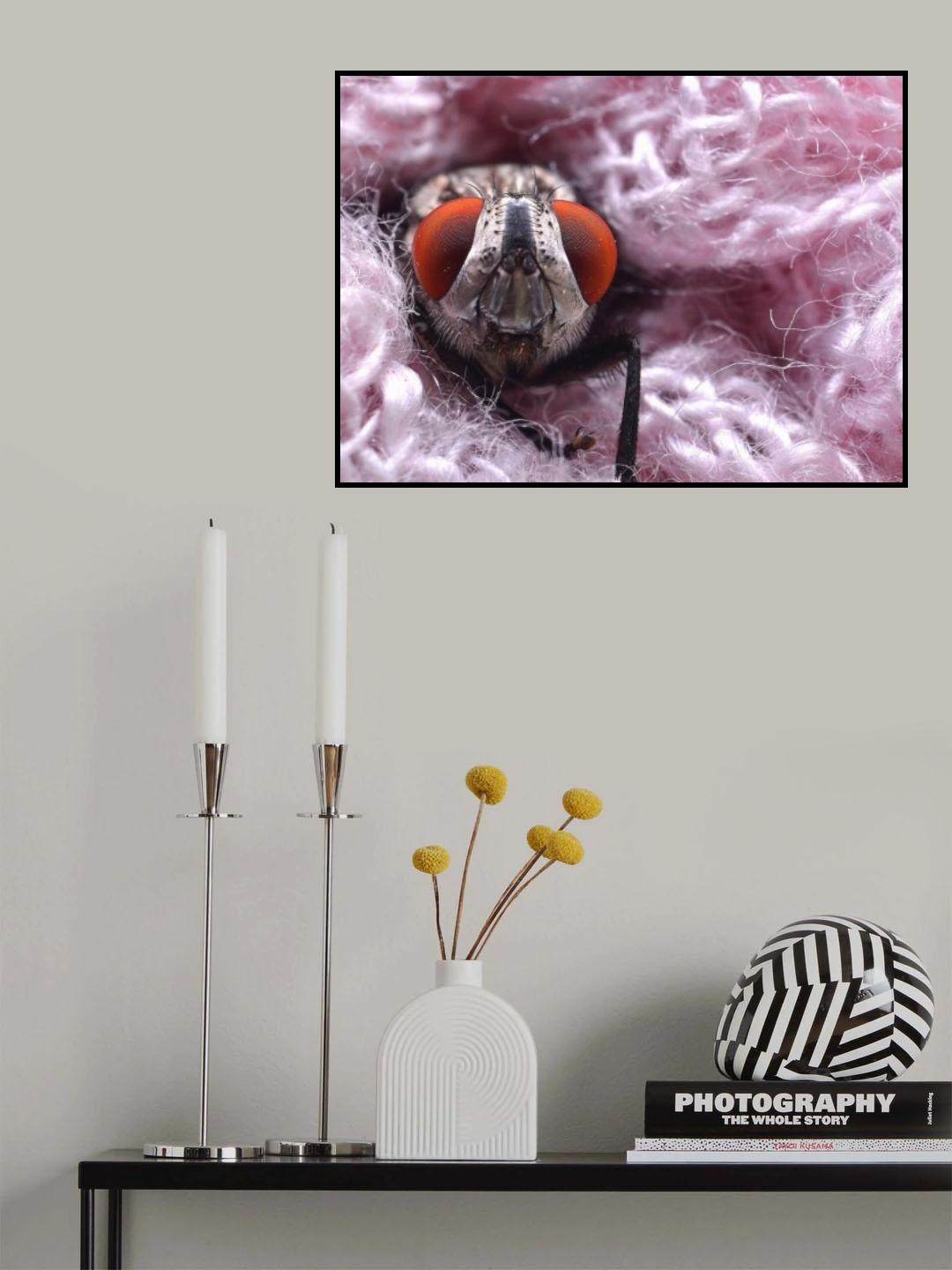 Pink blanket Poster och Canvastavla