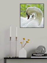 Love surrounds Poster och Canvastavla