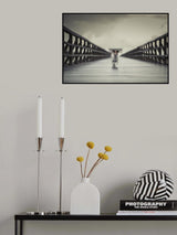 The Bridge Poster och Canvastavla