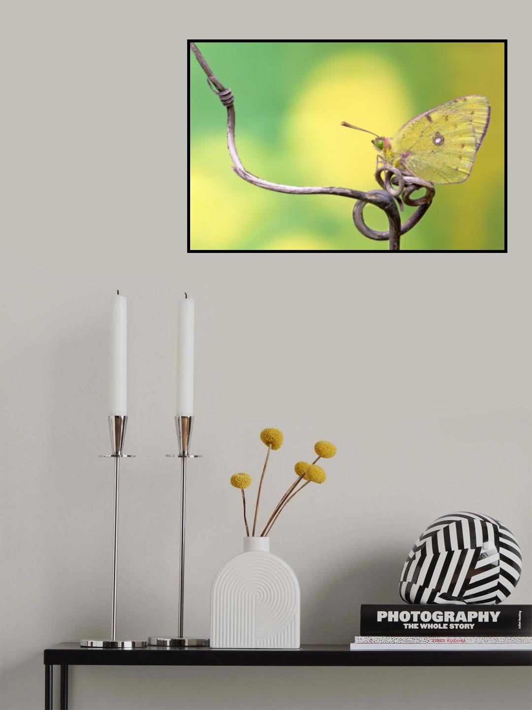 Butterfly on the...rollercoaster! Poster och Canvastavla