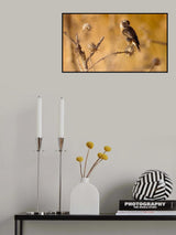 Stonechat Poster och Canvastavla