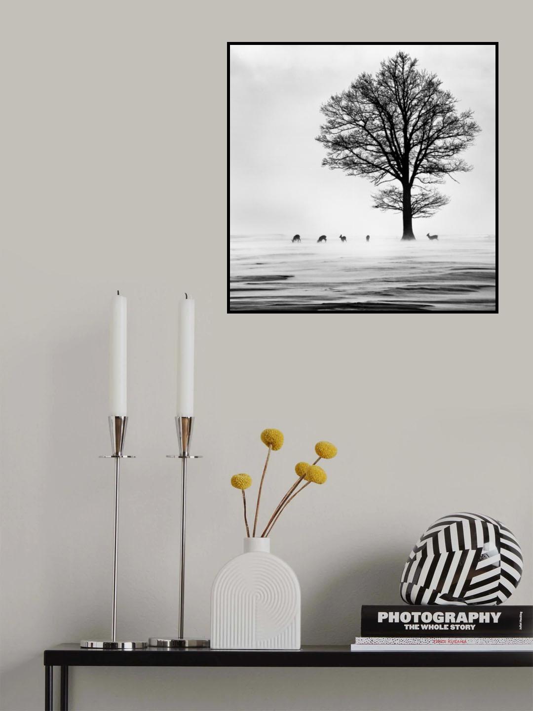 Roes Poster och Canvastavla