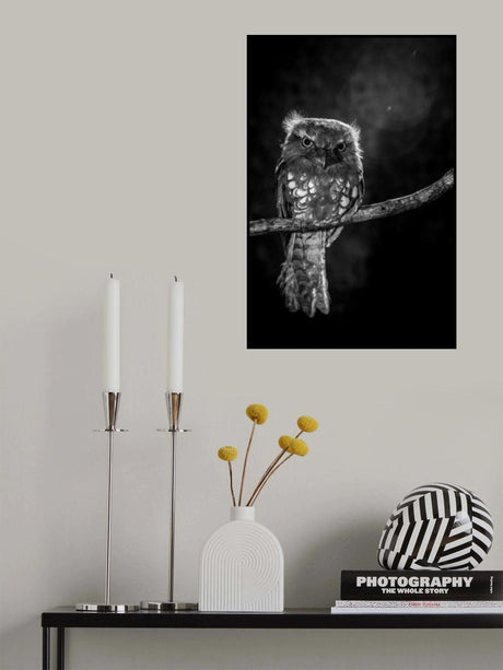 Alone in the night Poster och Canvastavla