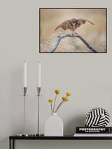 Balance Poster och Canvastavla