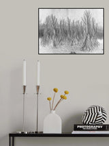 Jungles Poster och Canvastavla