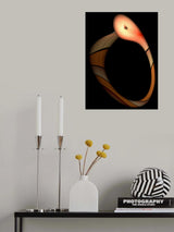 The Snake: Biting its Tail Poster och Canvastavla