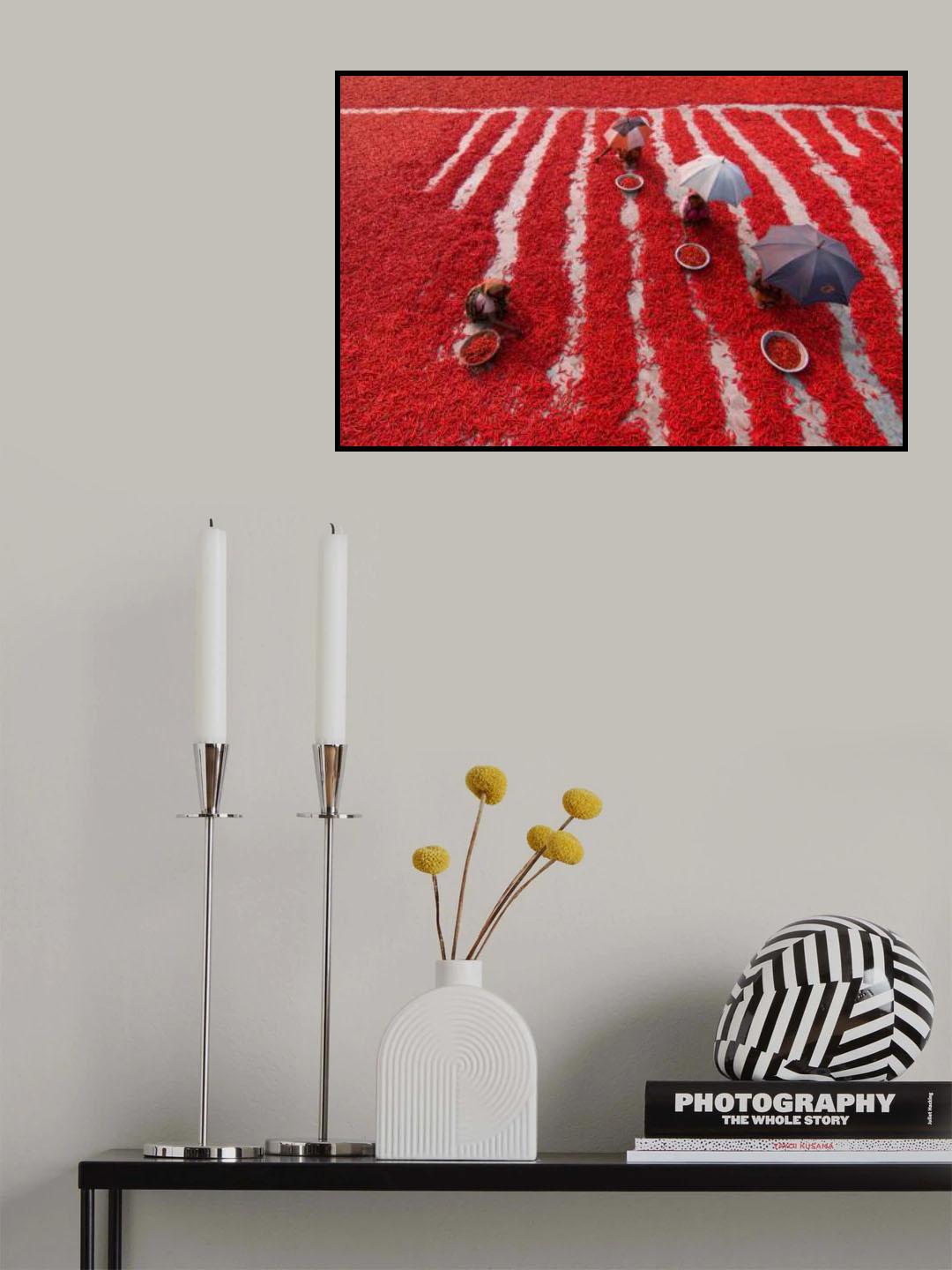 Red Chilies Pickers Poster och Canvastavla
