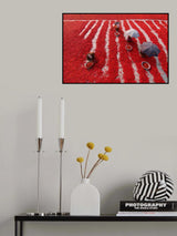 Red Chilies Pickers Poster och Canvastavla