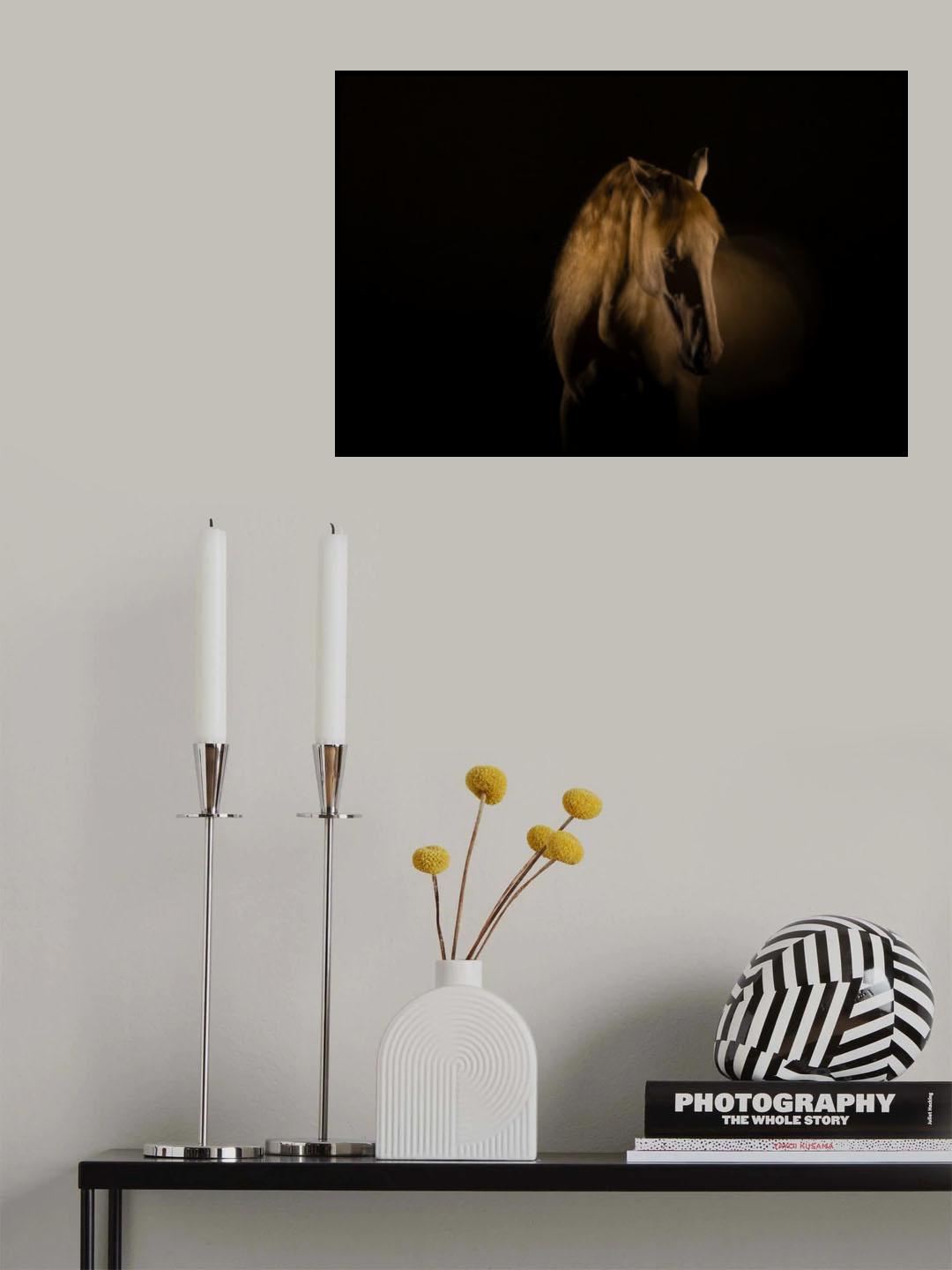 gold horse Poster och Canvastavla