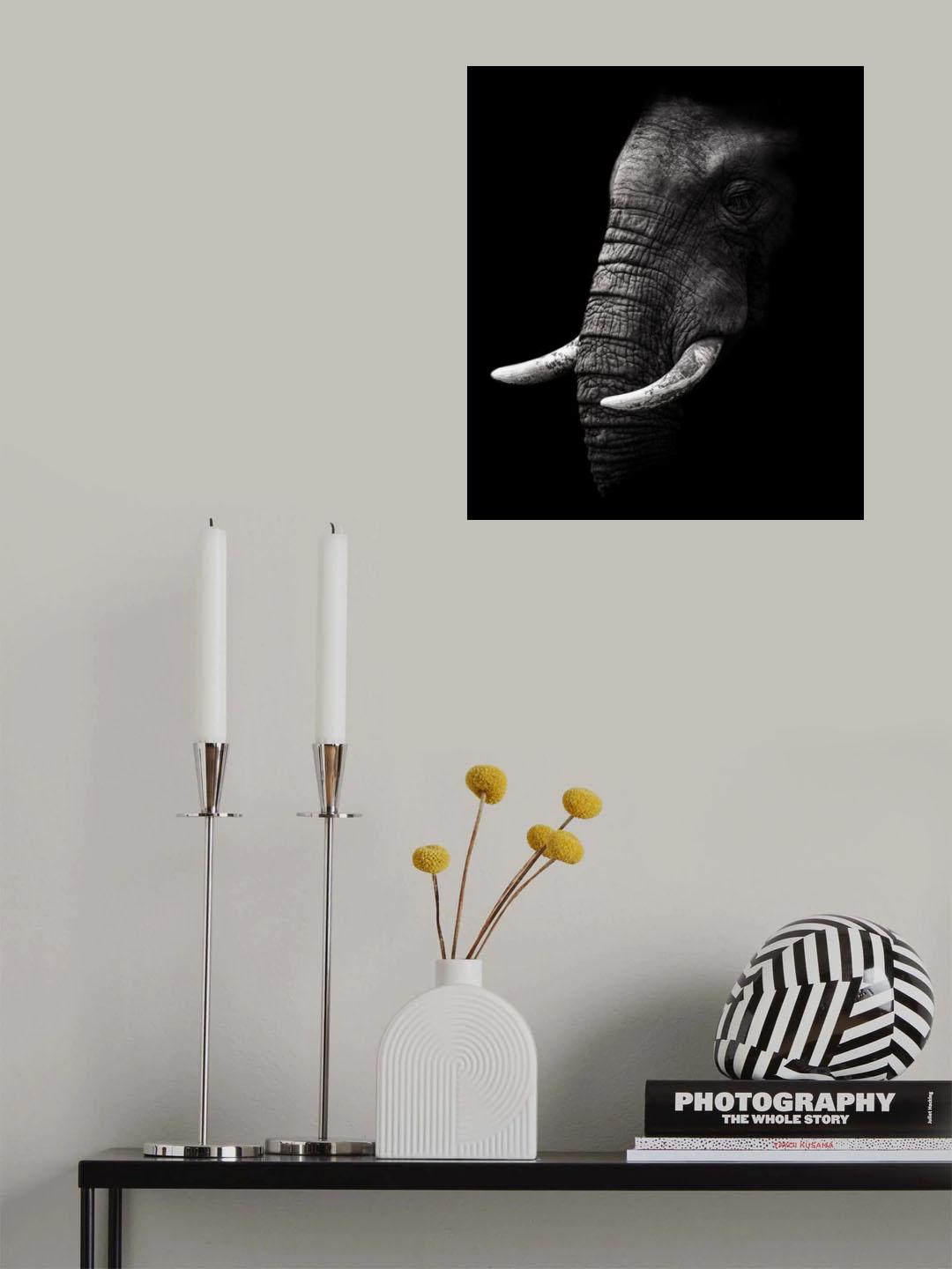 Portrait Poster och Canvastavla