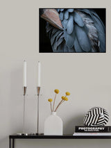 Feather Poster och Canvastavla