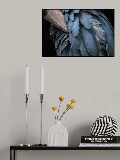 Feather Poster och Canvastavla