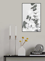Eucalyptus Creative 09 Poster och Canvastavla
