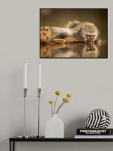 Reflection Poster och Canvastavla