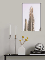 Phoenix Palm Poster och Canvastavla