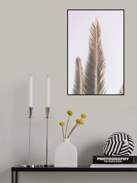 Phoenix Palm Poster och Canvastavla