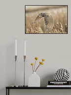 Great Horned owl Poster och Canvastavla