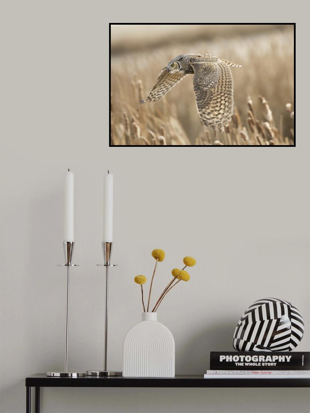 Great Horned owl Poster och Canvastavla