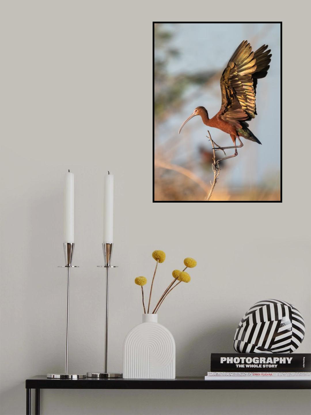 well landed Poster och Canvastavla