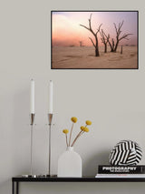 Fog in deadvlei Poster och Canvastavla