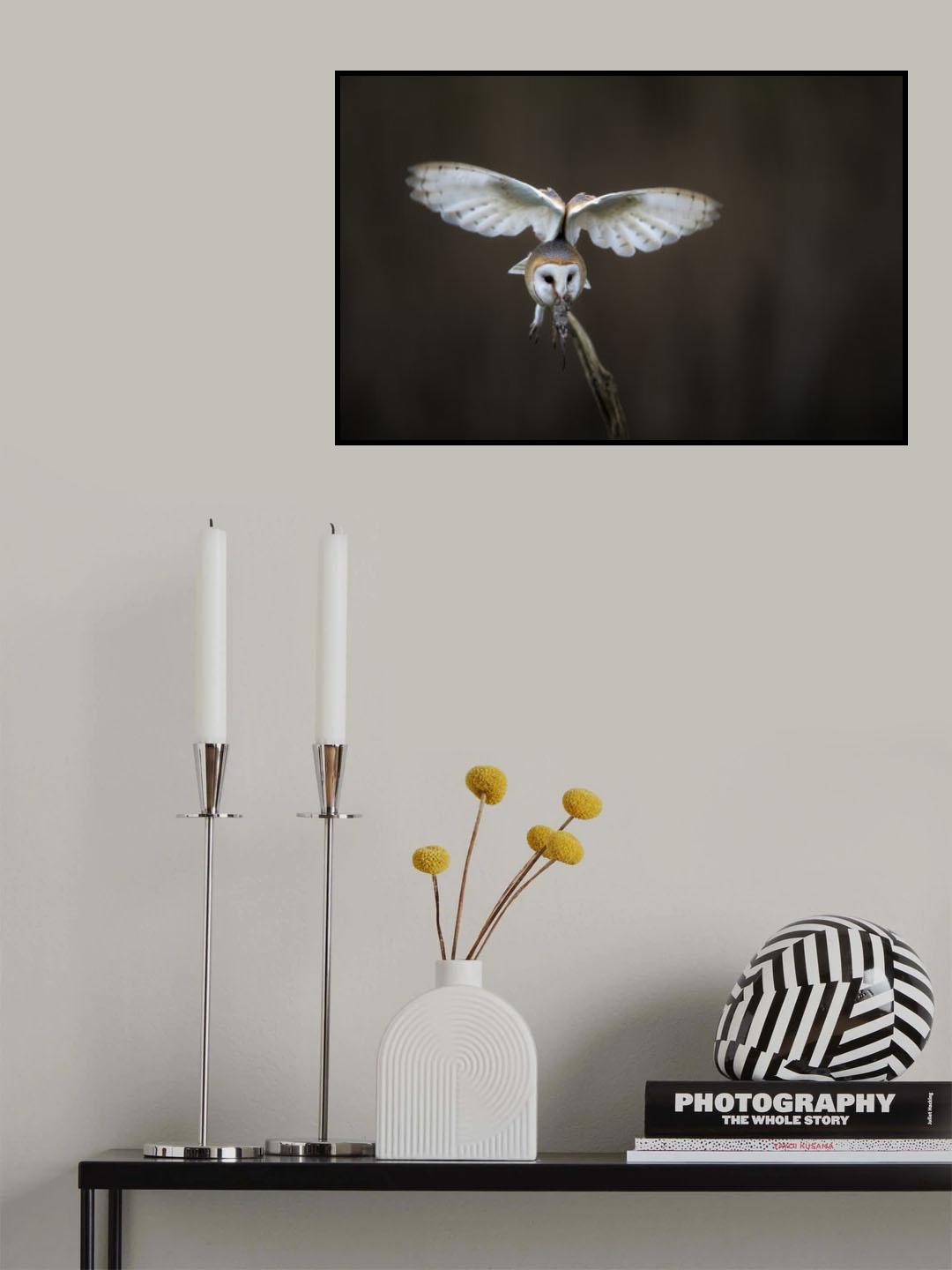 Poster och Canvastavla