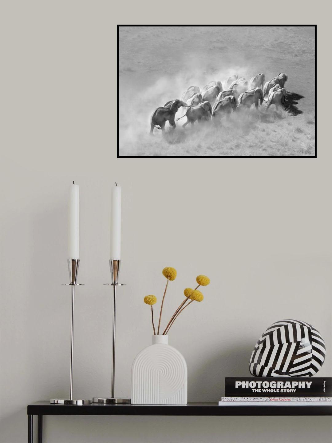 Elephant Family Poster och Canvastavla