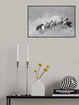 Elephant Family Poster och Canvastavla