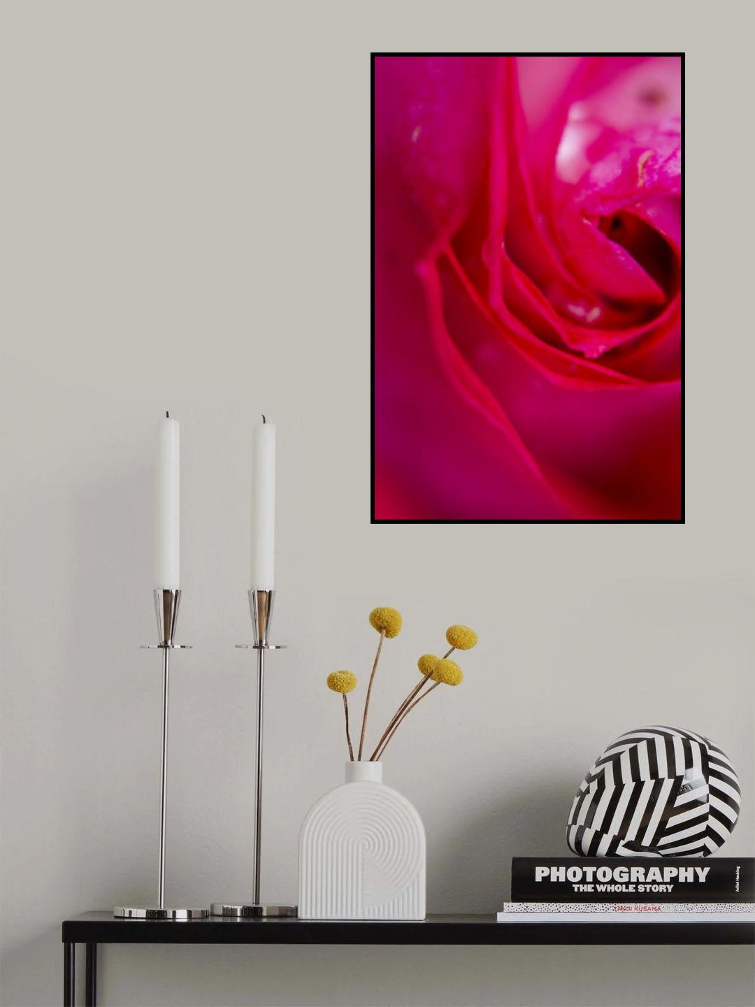 pink rose Poster och Canvastavla