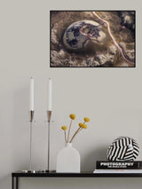 Planet Mars Poster och Canvastavla