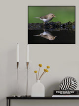Good looking Poster och Canvastavla