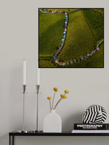 Rice umbrella 03 Poster och Canvastavla