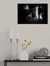 Black&amp;White Poster och Canvastavla