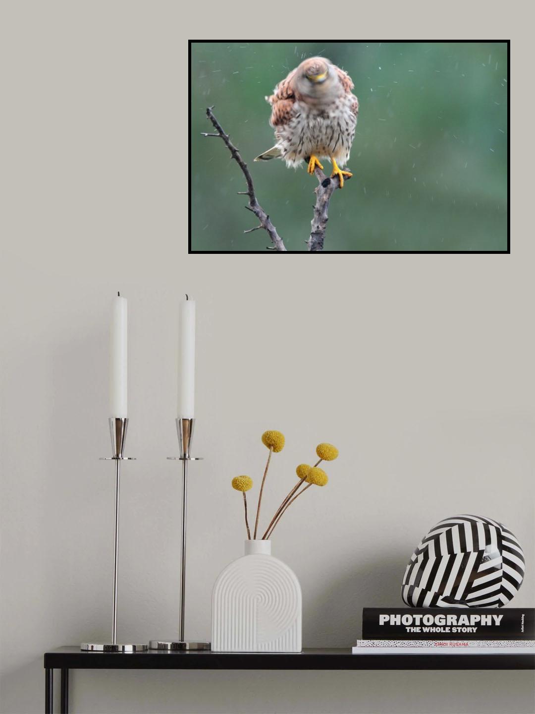 Is it rain ?? Poster och Canvastavla