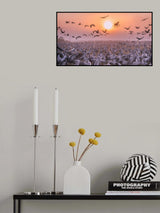 Cranes at sunrise Poster och Canvastavla