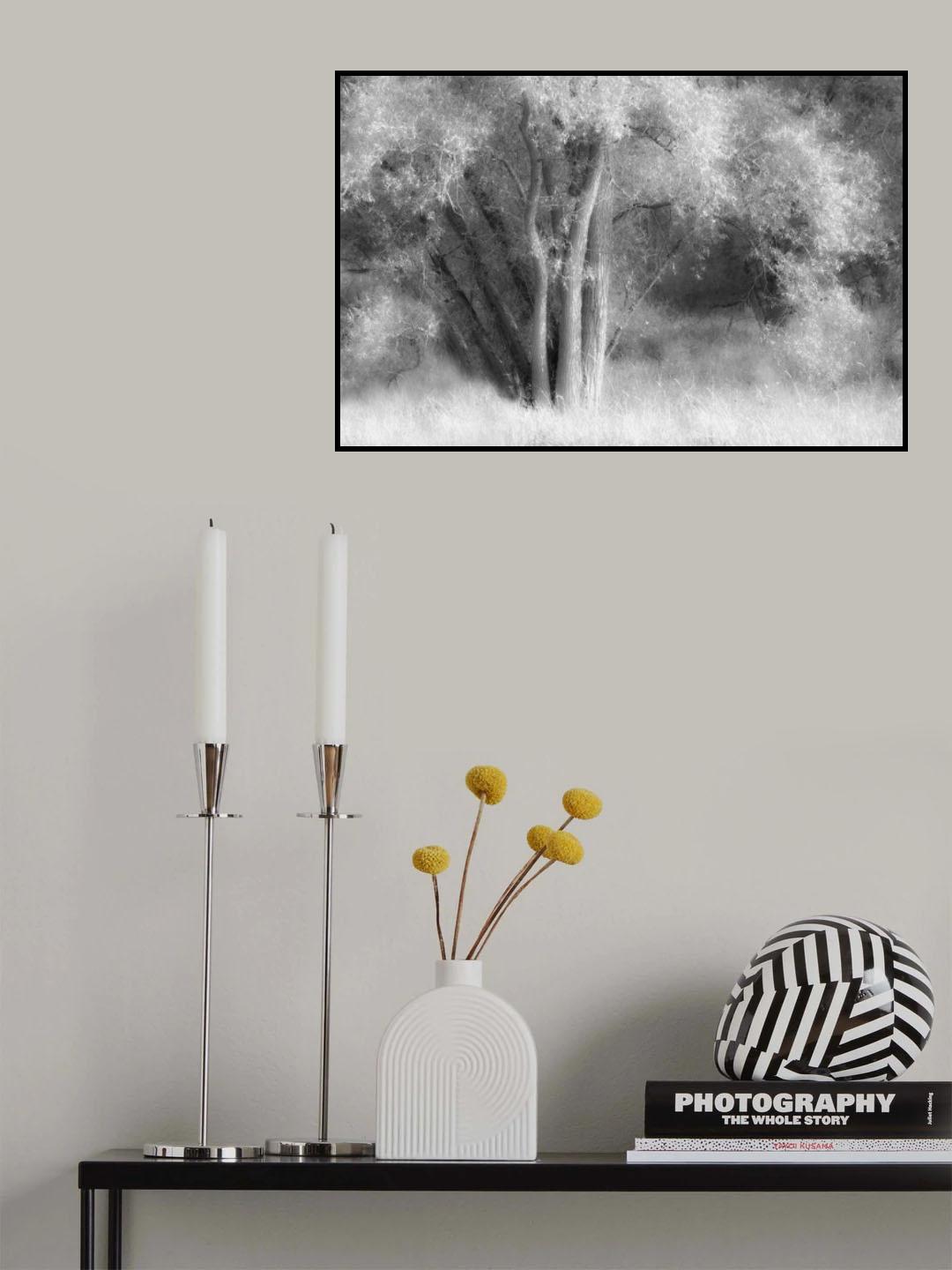 Soft tree Poster och Canvastavla