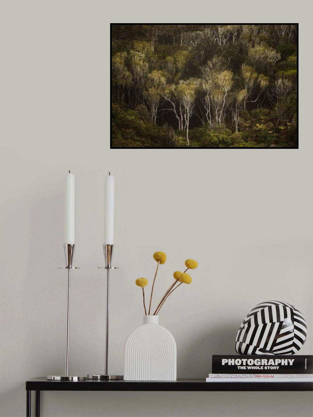 Dark Forest Poster och Canvastavla