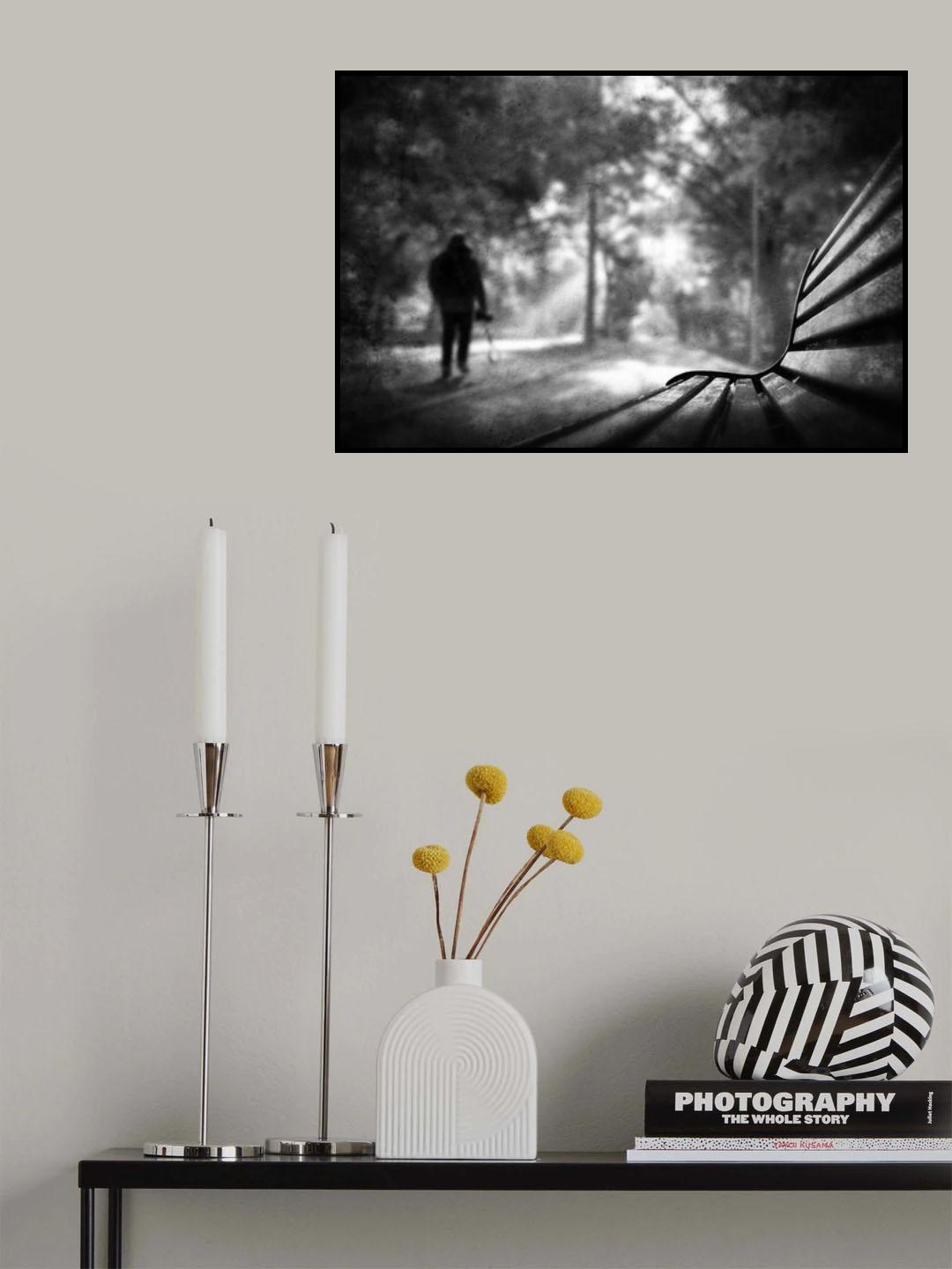 Light in the park Poster och Canvastavla