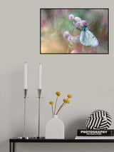 Perfect dream Poster och Canvastavla
