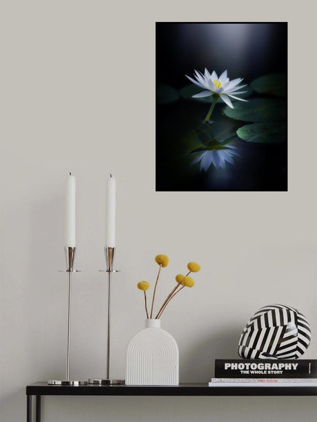 Reflection Poster och Canvastavla