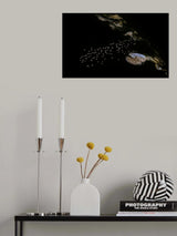 Amazing Pattern Poster och Canvastavla